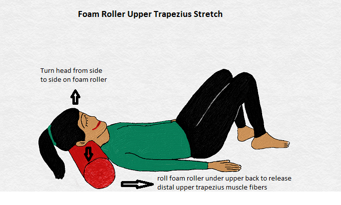 The correct way to use the fascia gun to relax the trapezius muscle –  Voltrx®